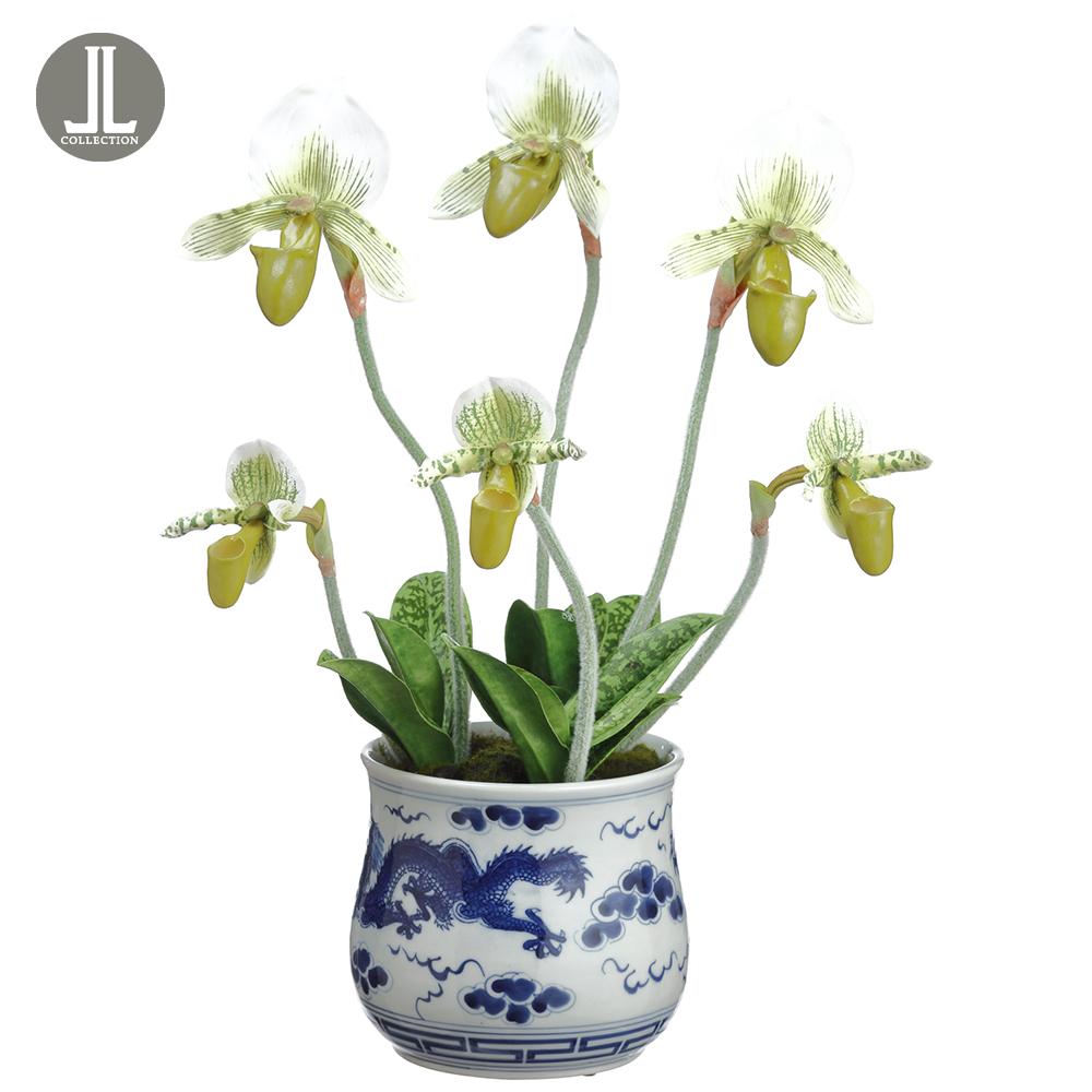 Ceramic Vase Green - 18in Lady's Slipper Orchid Plant - Findlay Rowe Designs