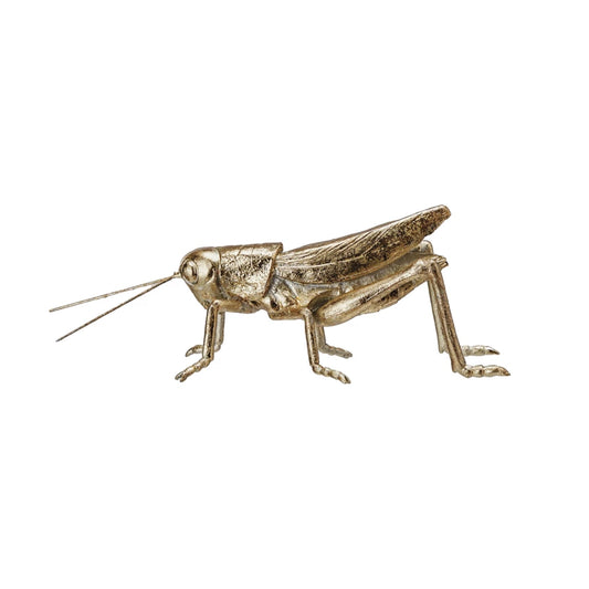 Decorative Gold Grasshopper - Findlay Rowe Designs
