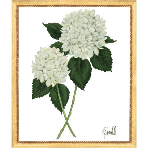 Framed Print - Hydrangea Bloom 22x26 - Kate Sherrill