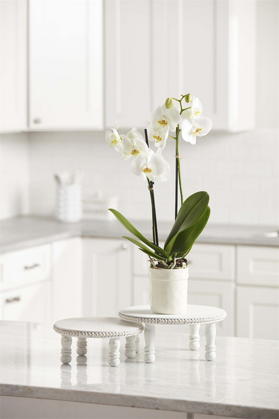 Mud Pie - Beaded Pedestal Tray - Large White - Findlay Rowe Designs