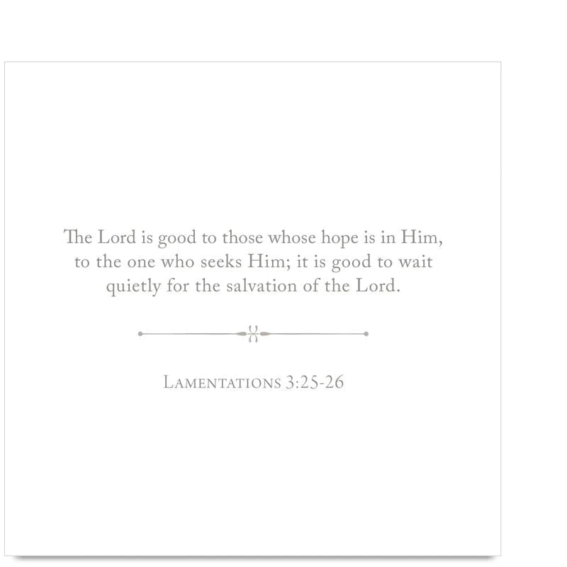 Anne Neilson - 100 Days of Scripture - Findlay Rowe Designs