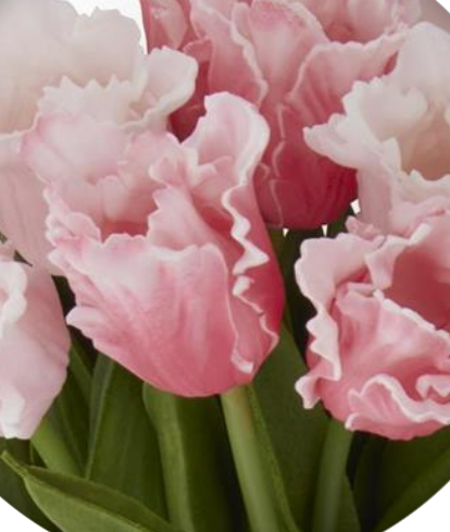Parrot Tulip Bouquet - Pink Rose Real Touch - 13in - Findlay Rowe Designs