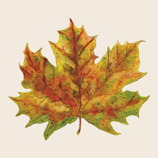 Hester & Cook - Cocktail Napkins - Fall Foliage - Findlay Rowe Designs