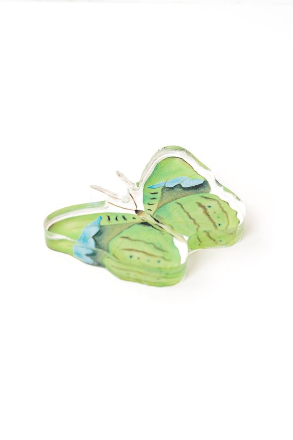Catherine Cartie - Acrylic Art Block - Butterfly - Green - Large - Findlay Rowe Designs