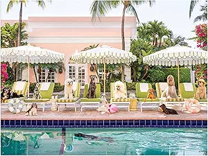 Puzzle - Palm Beach – 1000 Piece Book Box - Galison Gray Malin, - Findlay Rowe Designs