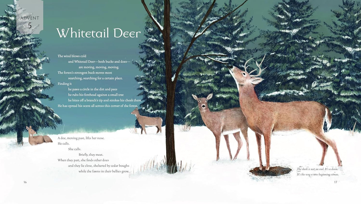 All Creation Waits - Children's Edition Advent Book