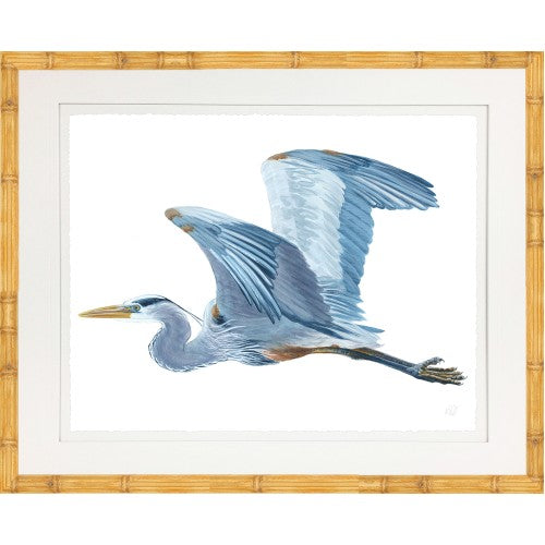 Framed Print - Blue Heron in Flight - Kate Sherrill