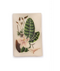 Tidbit Plate - Botanical - Findlay Rowe Designs