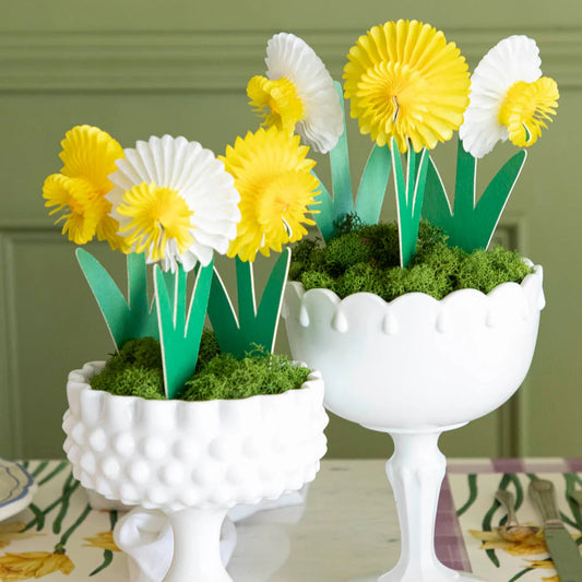 Hester and Cook - Table Accent - Honeycomb Small Daffodils - Set of 3 - Findlay Rowe Designs