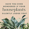 Houseplants and Their F*cked-Up Thoughts - Findlay Rowe Designs