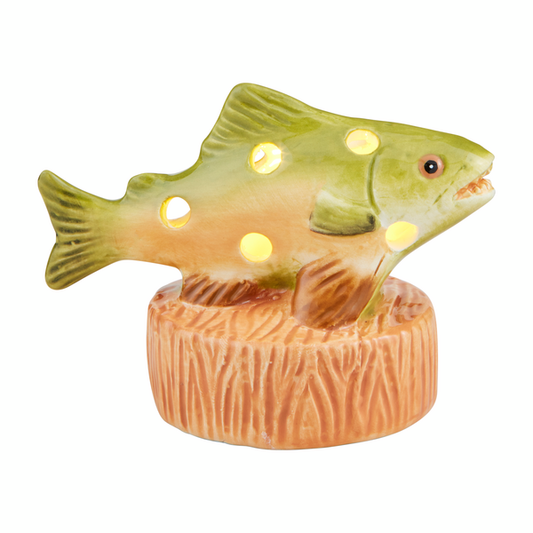 Mud Pie - Light-Up Sitter - Trout - Findlay Rowe Designs