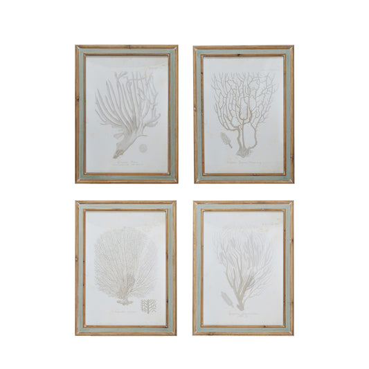 Framed Print - Coral - Assorted - Findlay Rowe Designs