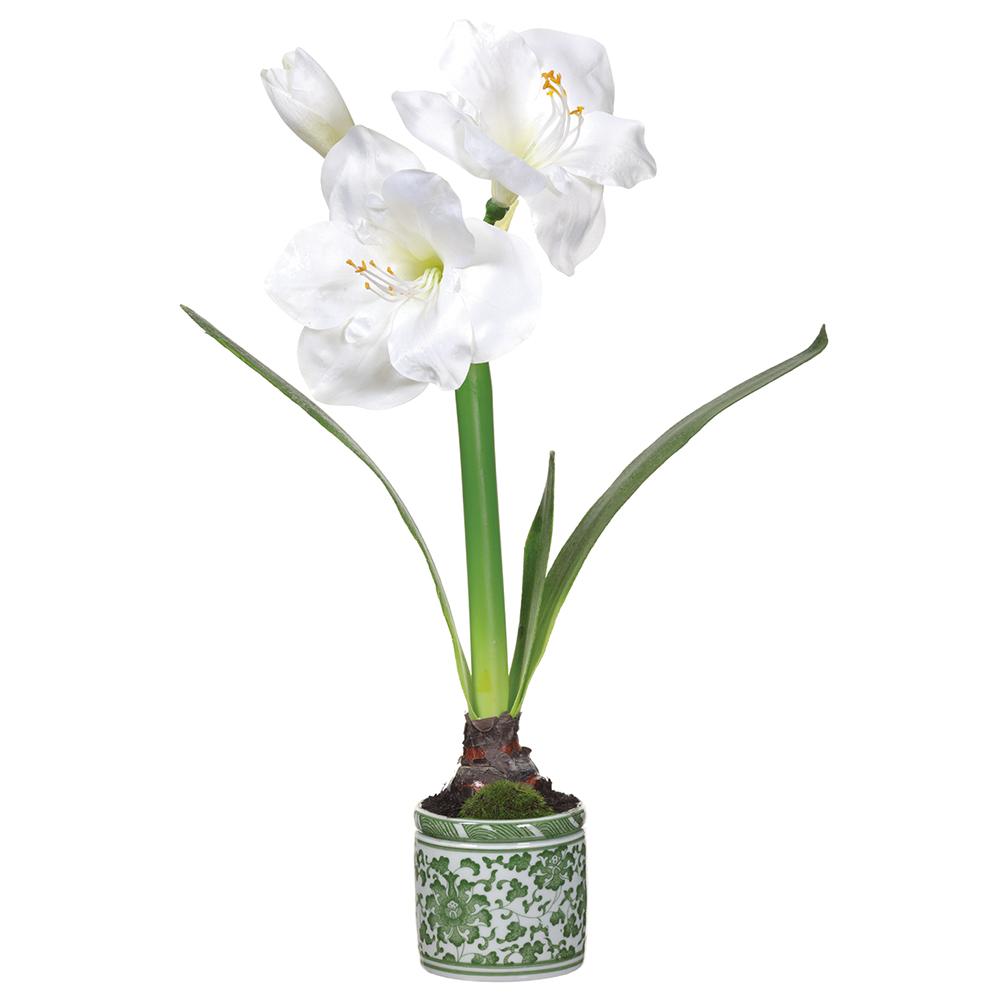 Ceramic Green Vase - Amaryllis 20in - White - Findlay Rowe Designs