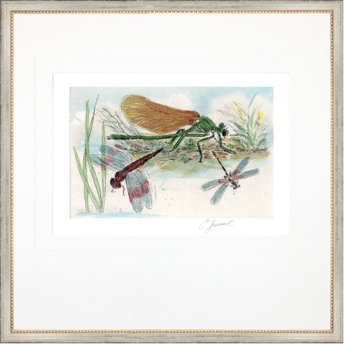 Framed Print - Dragonflies 22x18 - Charles Leonard