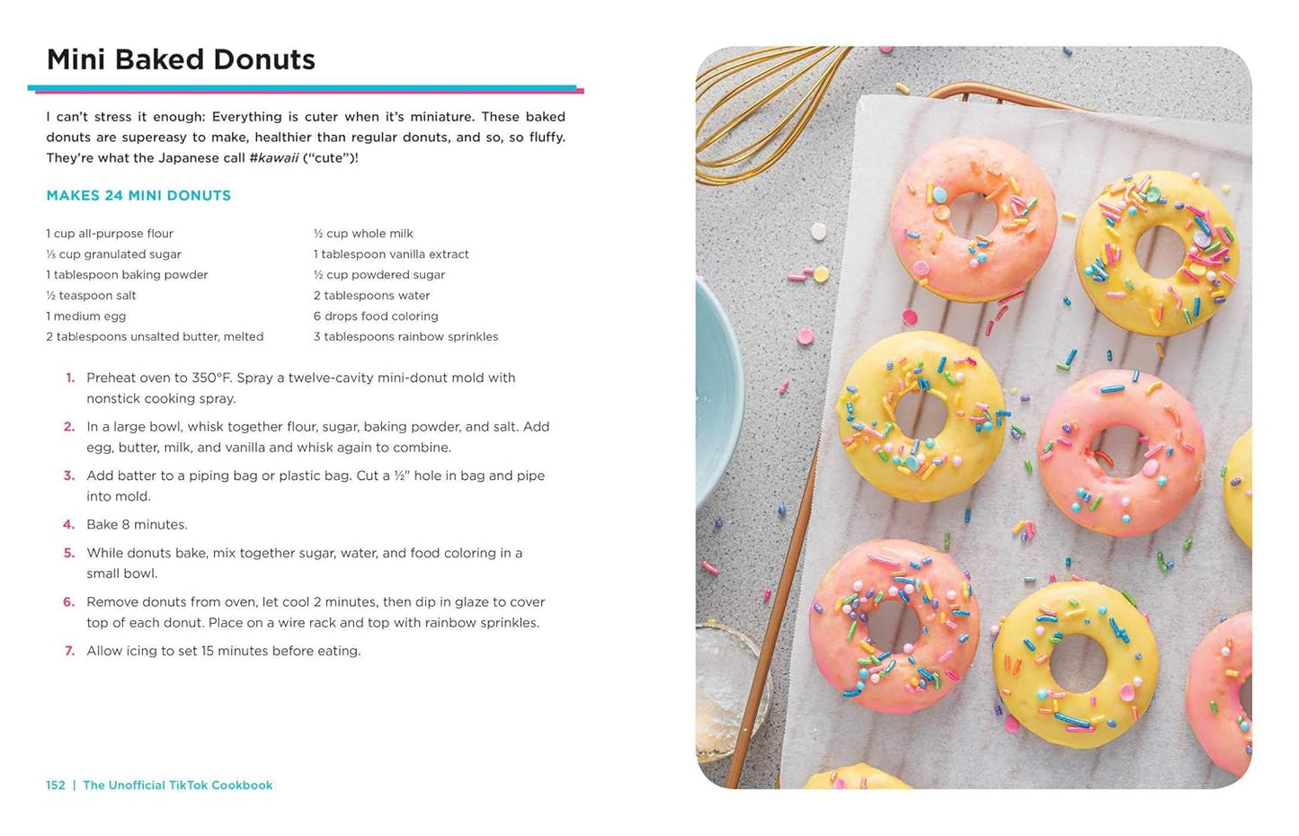 The Unofficial TikTok Cookbook - Findlay Rowe Designs