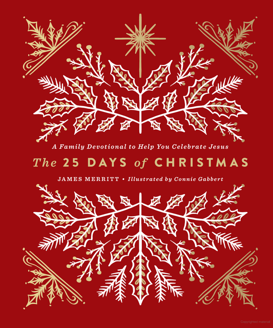 The 25 Days of Christmas
