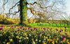 Martha Stewart's Gardening Handbook: The Essential Guide to Designing, Planting, and Growing - Findlay Rowe Designs