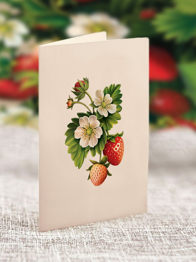Fresh Cut Paper - Pop Up Bouquet Matching Card - Mini Strawberry Blossom - Findlay Rowe Designs