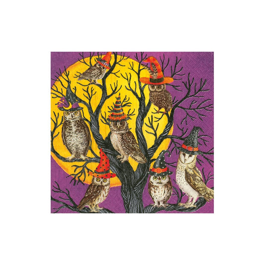 Caspari - Cocktail Napkins - Owl-O-Ween - Findlay Rowe Designs