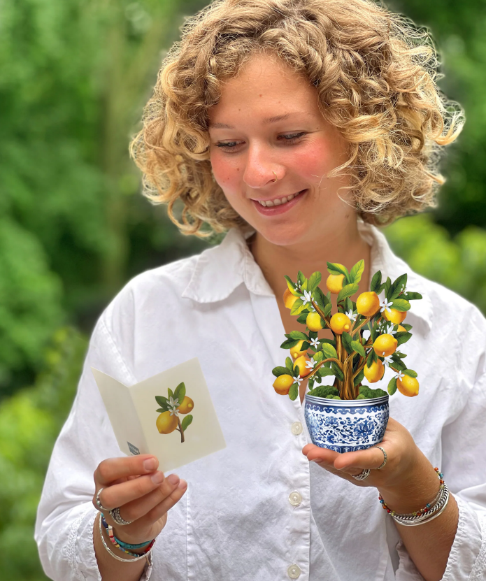 Fresh Cut Paper - Pop Up Bouquet Matching Card - Mini Lemon Blossom Tree - Findlay Rowe Designs