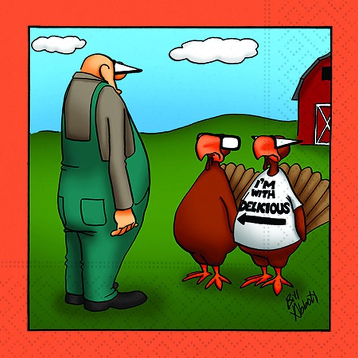 Cocktail Napkins - Holiday Funnies - Findlay Rowe Designs