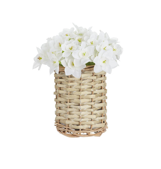 Paperwhite - 7in - White Basket