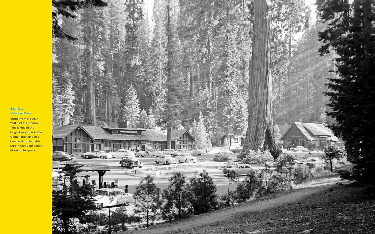 National Geographic National Parks Cookbook - Findlay Rowe Designs