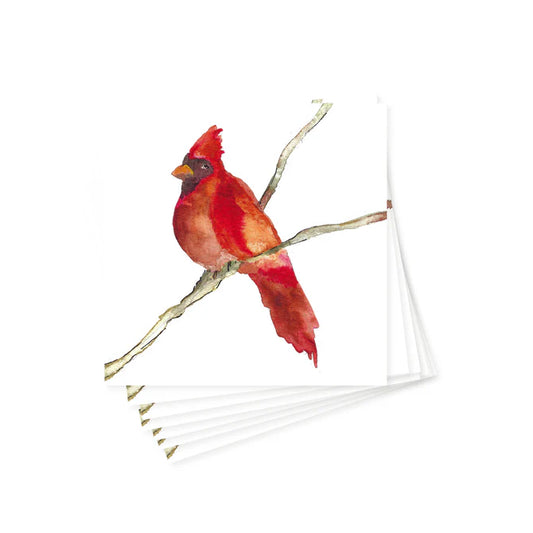 Anne Neilson - Cocktail Napkins - Watercolor Cardinal - Findlay Rowe Designs
