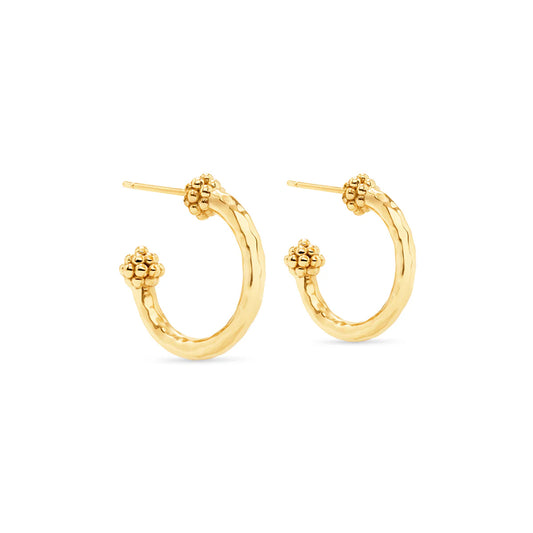 Earrings - Berry Small Hoop Earrings - Gold - Findlay Rowe Designs