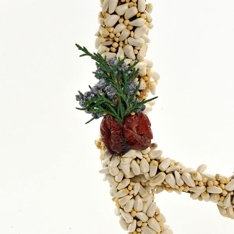 Mr. Bird - Seed Angel - Findlay Rowe Designs