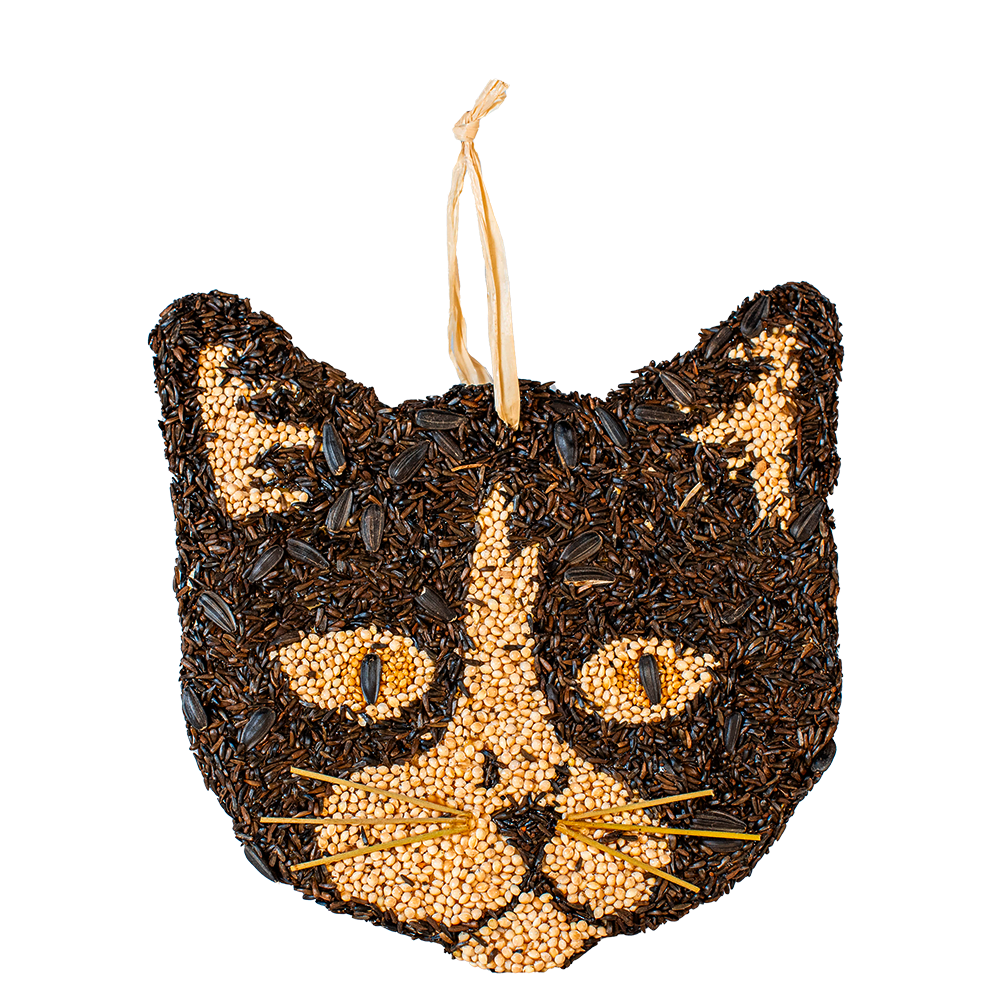 Mr. Bird - Bird Seed Cat Cookies - Findlay Rowe Designs