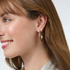 Julie Vos - Earrings - SoHo Hoop - Gold - Medium - Findlay Rowe Designs