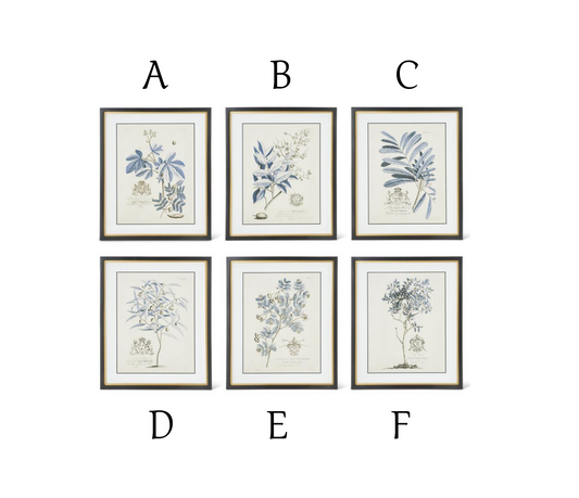 Framed Print - Blue Arbor - 23.75in - Findlay Rowe Designs