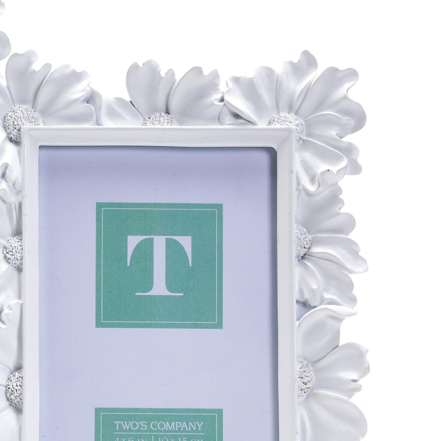 4x6 or 5x7 Frame - White Daisy - Findlay Rowe Designs