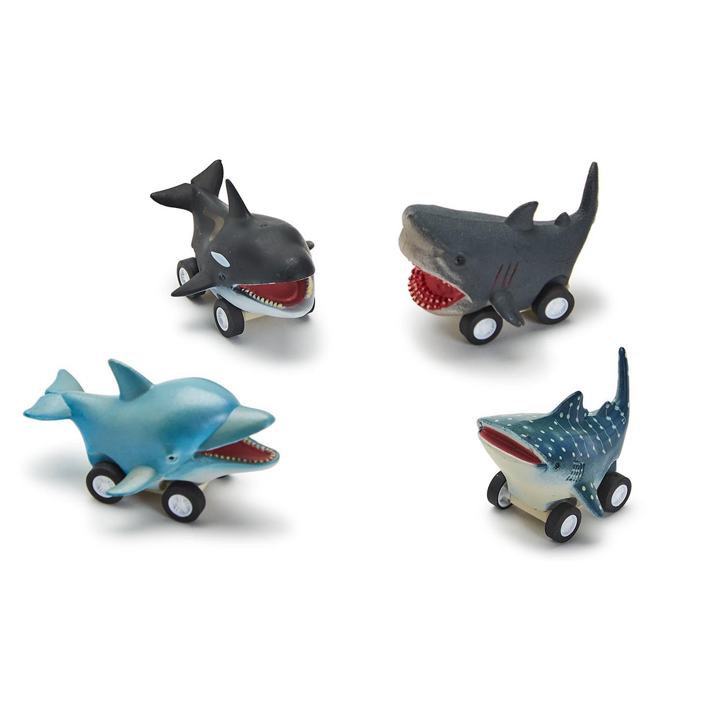 Reef Racers Plastic Fish Pull Back Toy - Findlay Rowe Designs