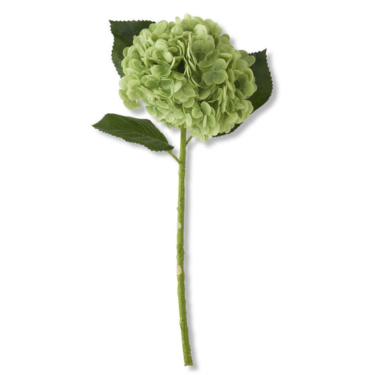 Hydrangea Stem Real Touch - Green - 20 Inch - Findlay Rowe Designs