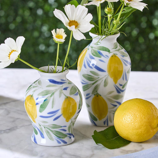 Vase - Lemon Grove - Assorted - Findlay Rowe Designs