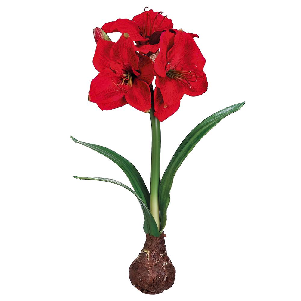Allstate Floral - 21" Standing Amaryllis with Bulb - Red - Findlay Rowe Designs