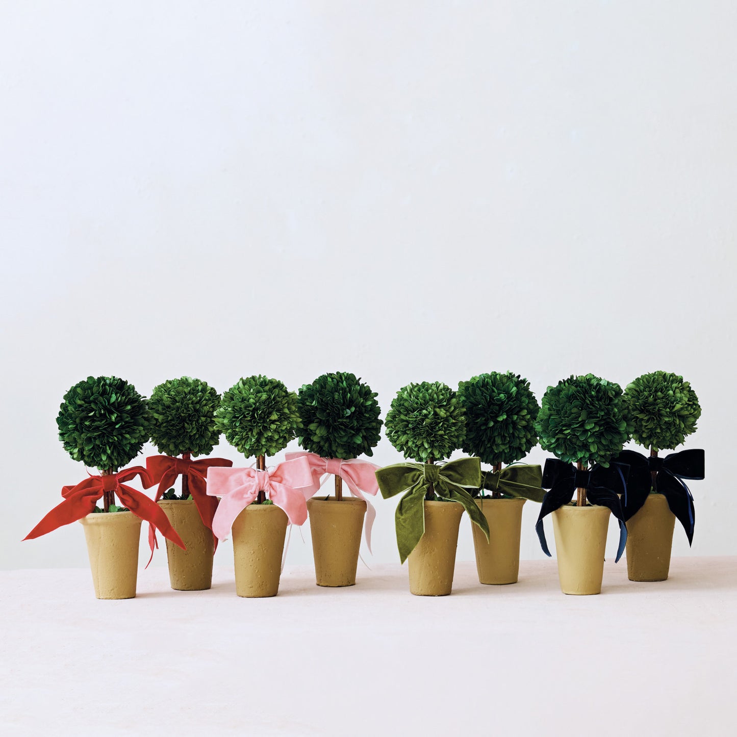 Topiary - Dried Boxwood - Red Velvet Bow - Findlay Rowe Designs