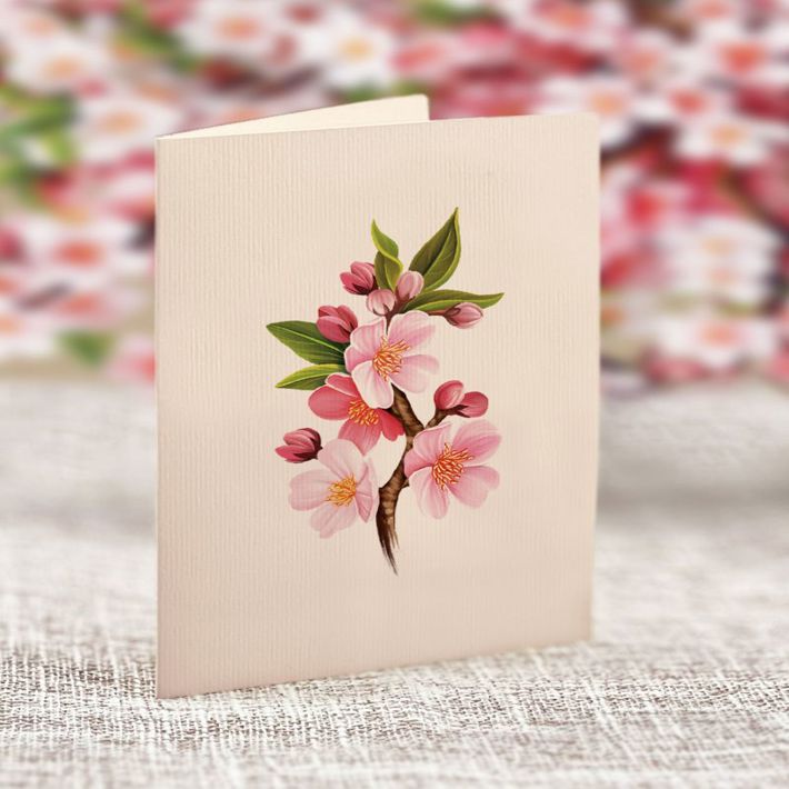 Fresh Cut Paper - Pop Up Bouquet Matching Card - Mini Japanese Cherry Blossoms - Findlay Rowe Designs