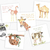 Anne Neilson - Children's Scripture Cards - Findlay Rowe Designs