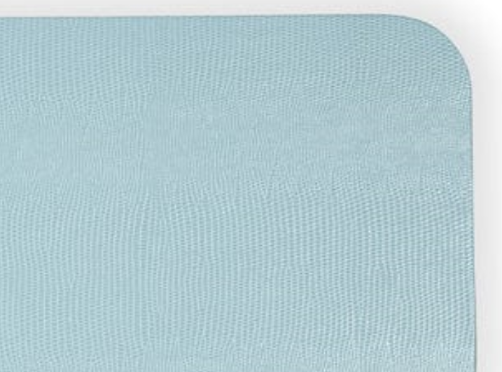 Caspari - Placemat - Lizard Felt-Backed - Soft Aqua Rectangle - Findlay Rowe Designs