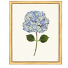 Framed Print - Hydrangea 14x18 Linen- The Leonard Collection