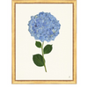 Framed Print - Hydrangea 14x18 Linen- The Leonard Collection