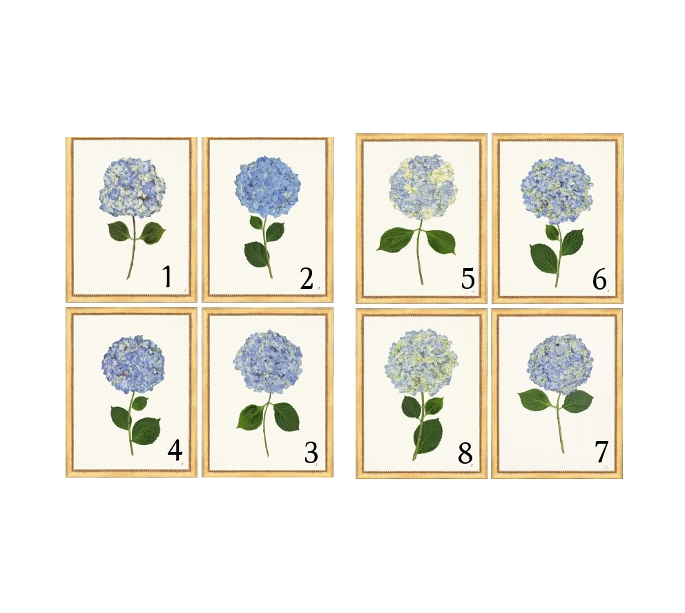 Framed Print - Hydrangea 14x18 Linen- The Leonard Collection