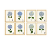 Framed Print - Hydrangea 14x18 Linen- The Leonard Collection