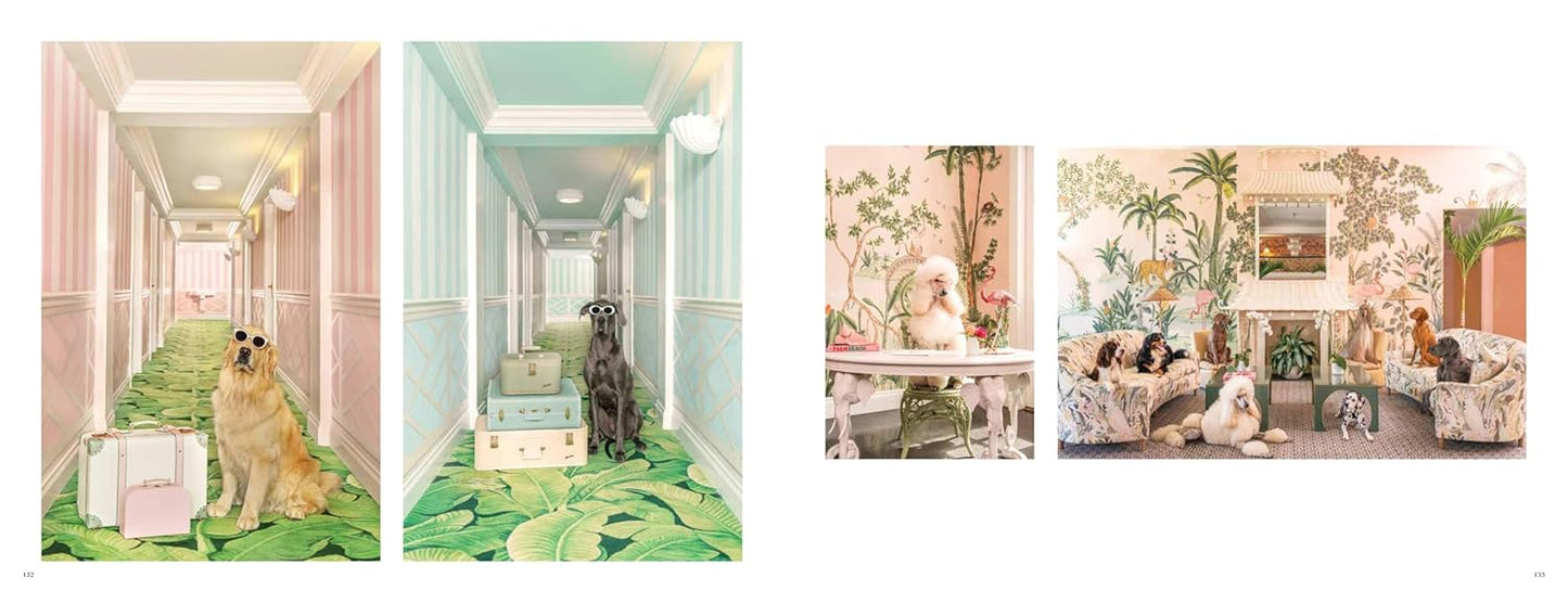 Gray Malin: Dogs: Photographs - Findlay Rowe Designs