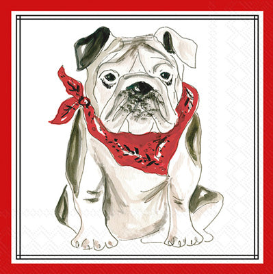 Red Bulldog Cocktail Napkins - Findlay Rowe Designs