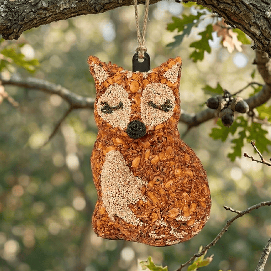 Mr. Bird - Hot Foxy Seed Feeder