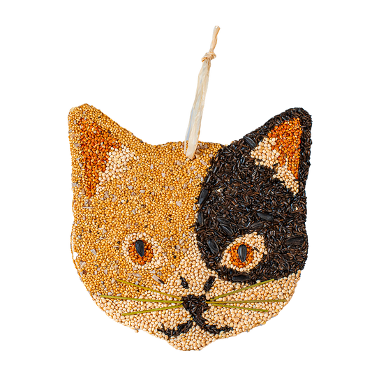 Mr. Bird - Bird Seed Cat Cookies - Findlay Rowe Designs